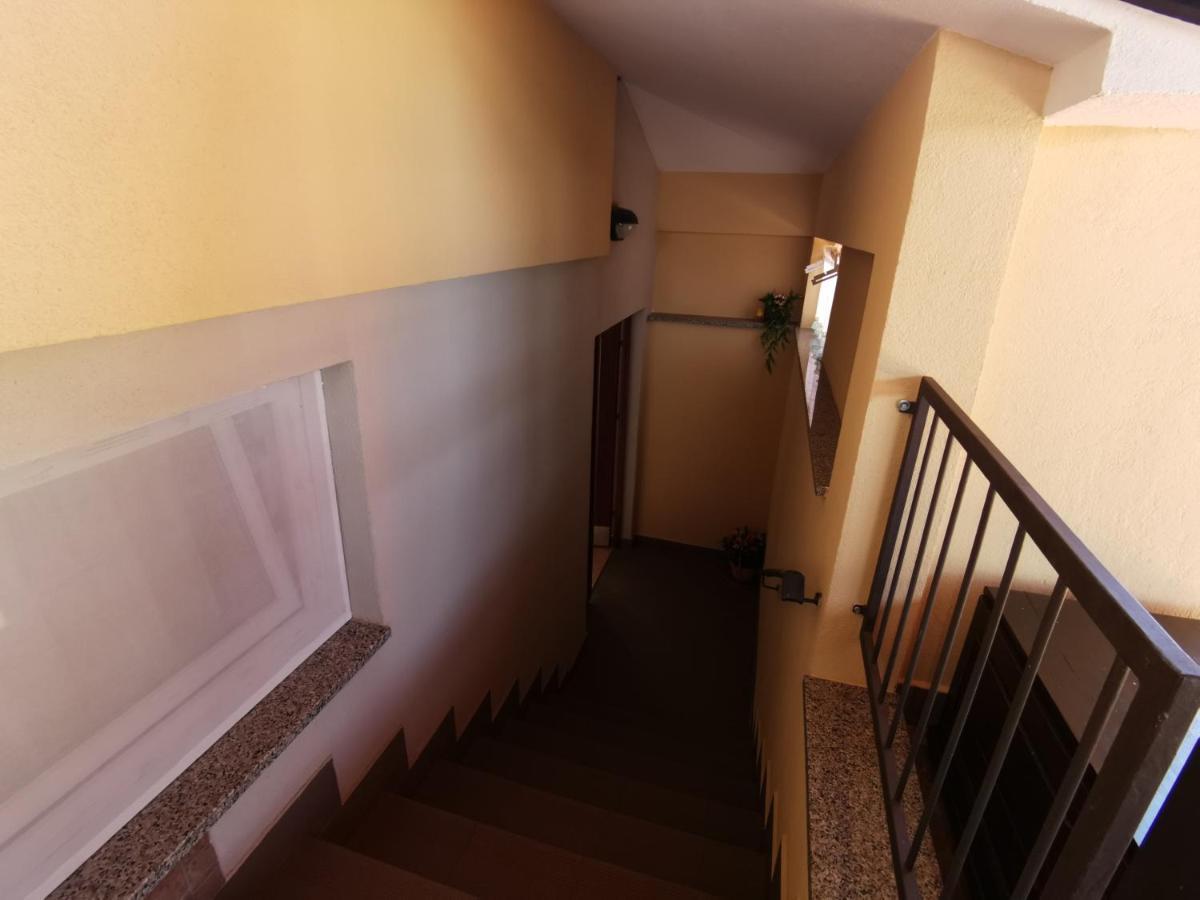 Apartmani Berber Babici Dış mekan fotoğraf