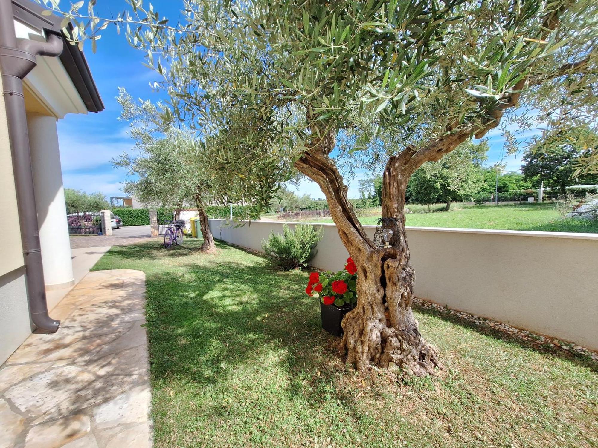 Apartmani Berber Babici Dış mekan fotoğraf
